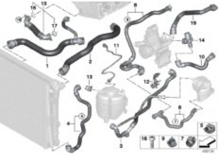 Cooling system coolant hoses