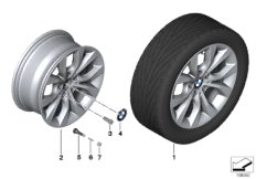 BMW LA wheel, V Spoke 318