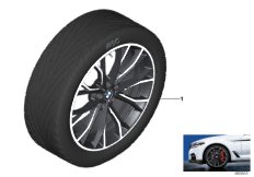BMW LA wheel M Perf. Doub.sp.669M-20